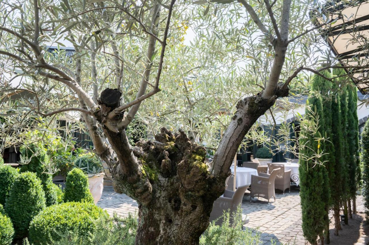 Wein Und Landhaus Kallfels Krov Ngoại thất bức ảnh