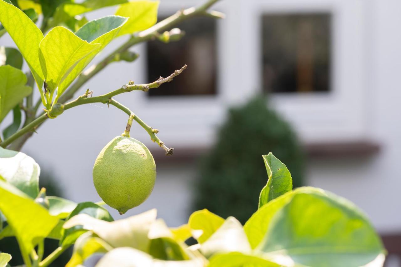 Wein Und Landhaus Kallfels Krov Ngoại thất bức ảnh