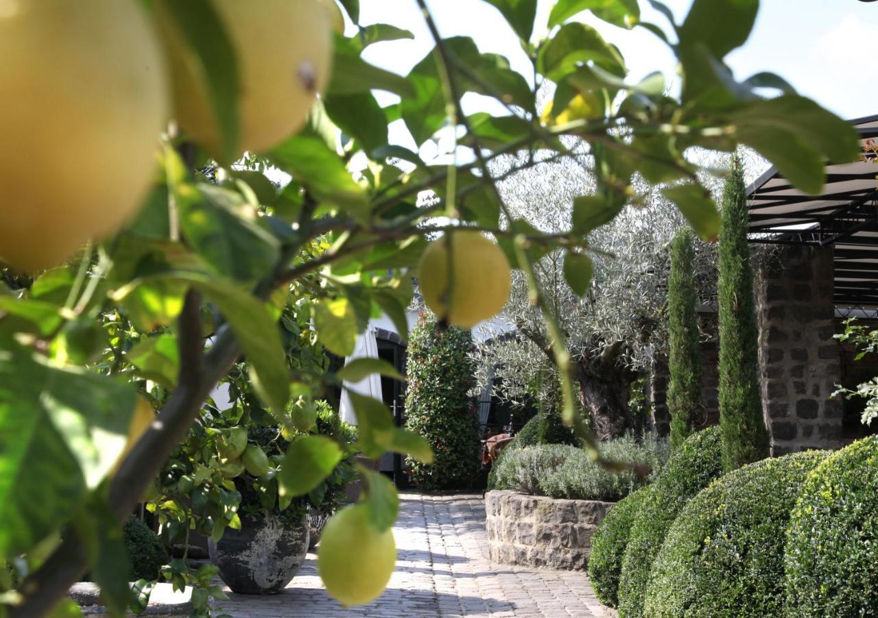 Wein Und Landhaus Kallfels Krov Ngoại thất bức ảnh